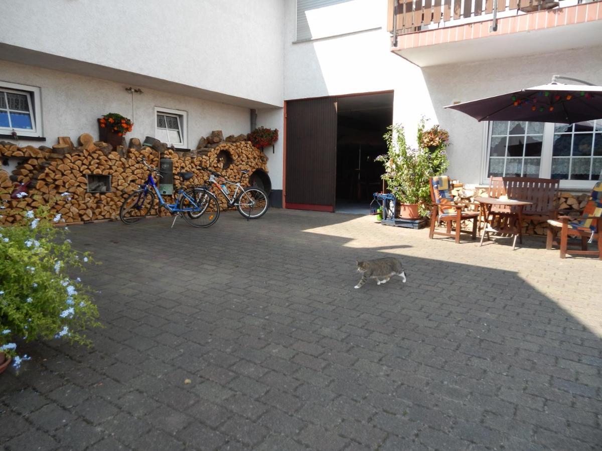 Ferienweinhaus Roemer-Knodt เคิร์ฟ ภายนอก รูปภาพ