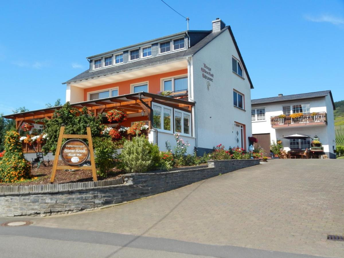 Ferienweinhaus Roemer-Knodt เคิร์ฟ ภายนอก รูปภาพ