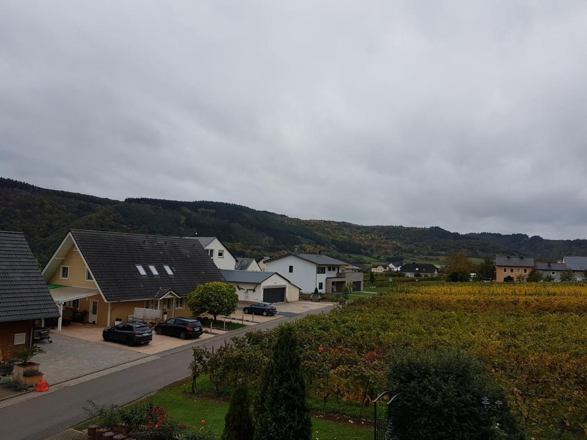 Ferienweinhaus Roemer-Knodt เคิร์ฟ ภายนอก รูปภาพ
