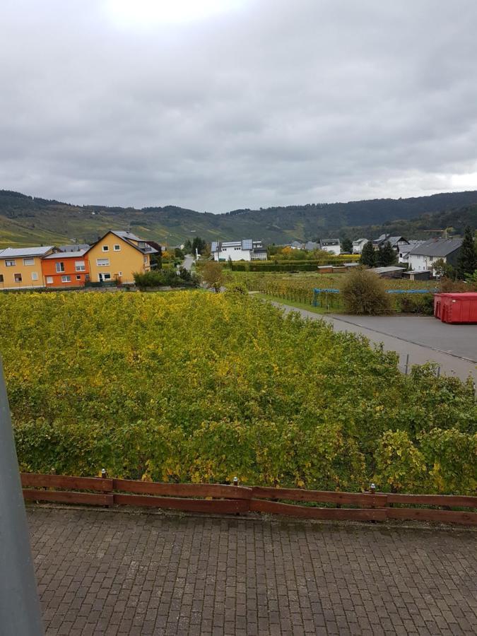 Ferienweinhaus Roemer-Knodt เคิร์ฟ ภายนอก รูปภาพ